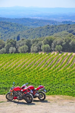 Tuscan Wine Country